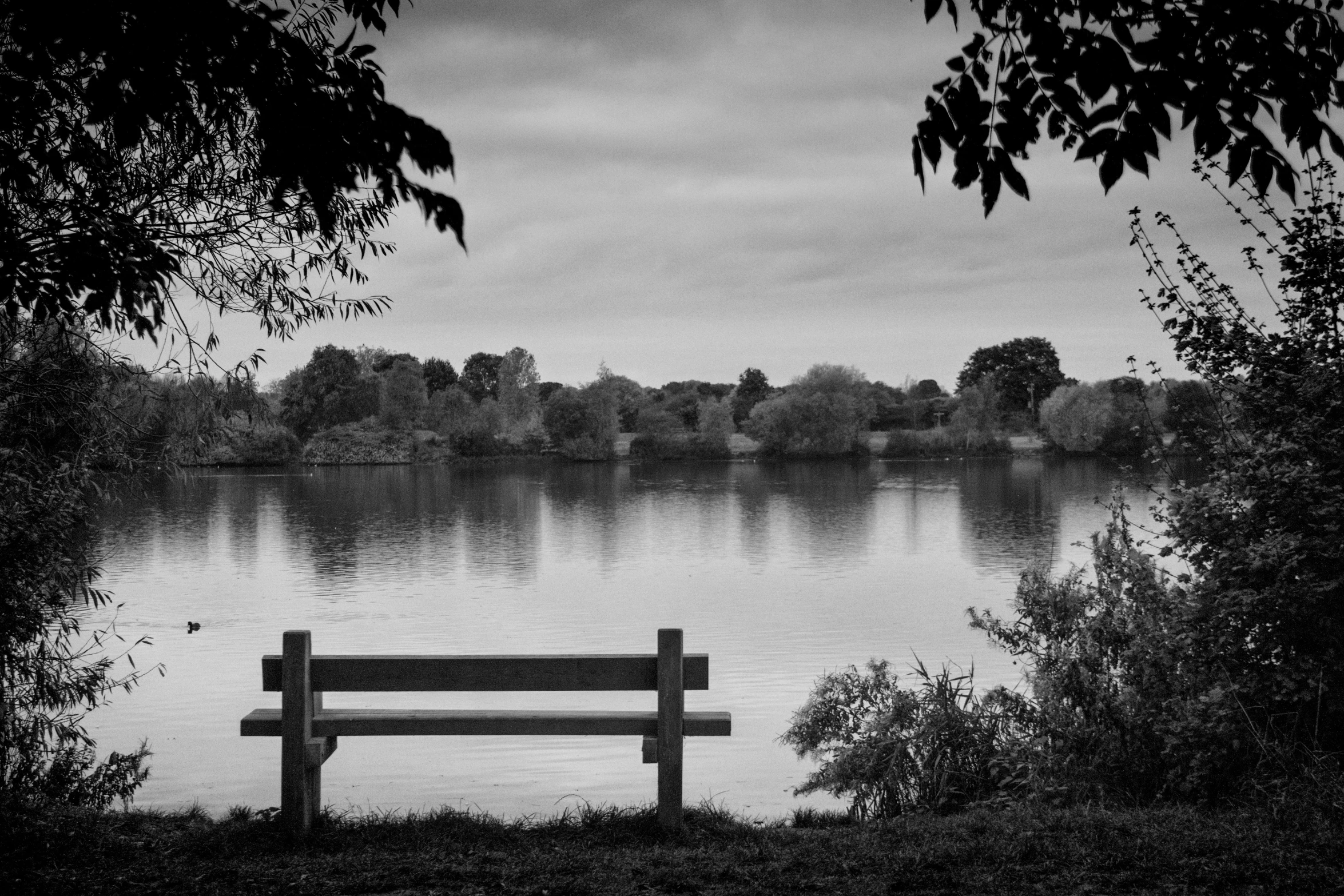a bench is near the water on a cloudy day