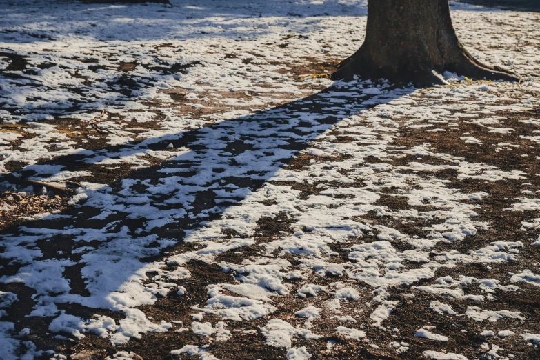 a snow covered yard with snow in the middle