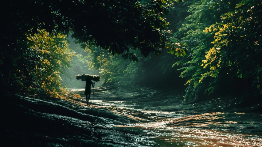 a person with an umbrella walks through a dark woods
