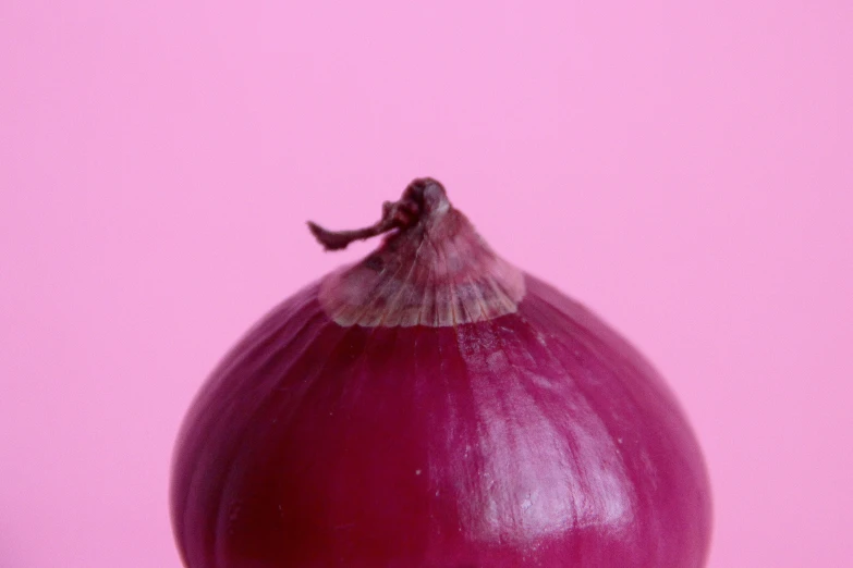 an onion with one half exposed to the camera