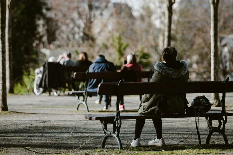 people sitting on benches on a path between trees