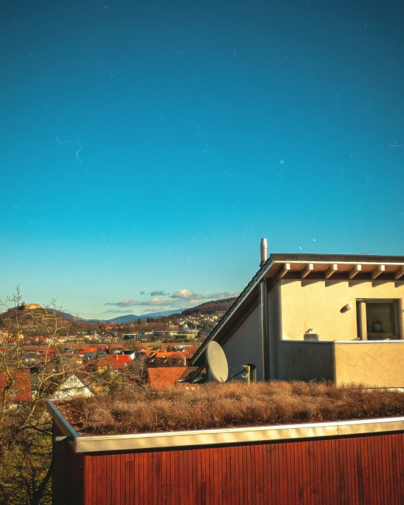 a grassy roof top with no leaves or grass