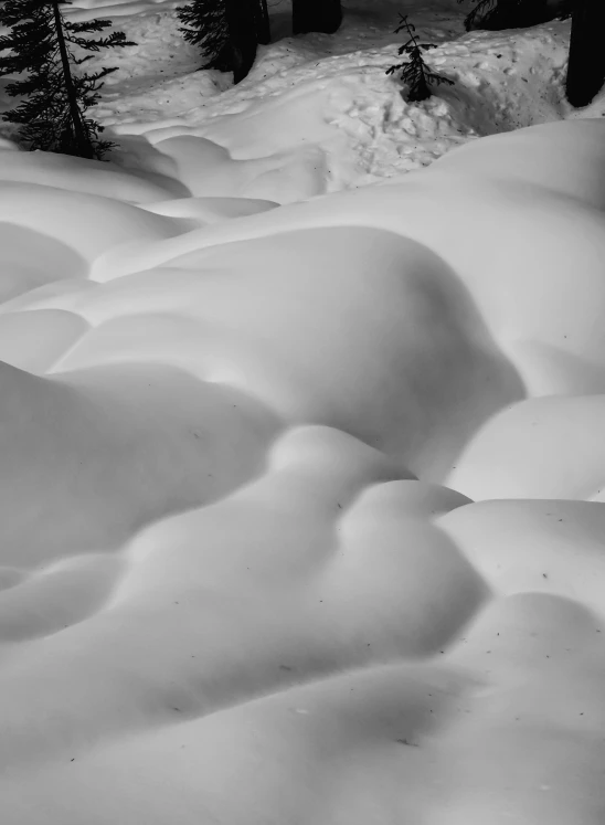 some very deep snow by some trees and bushes