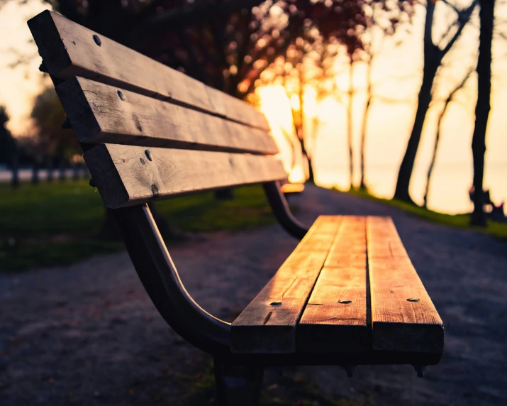 this is a picture of a bench and trees