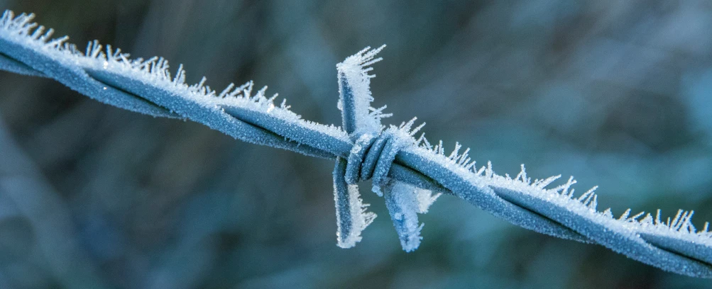a close up view of a barbed wire