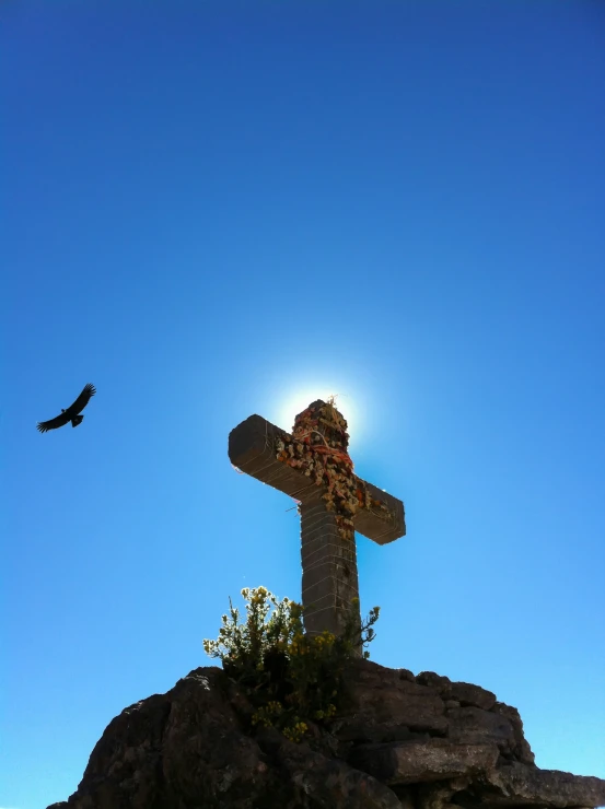 a bird flying over a cross on top of a mountain