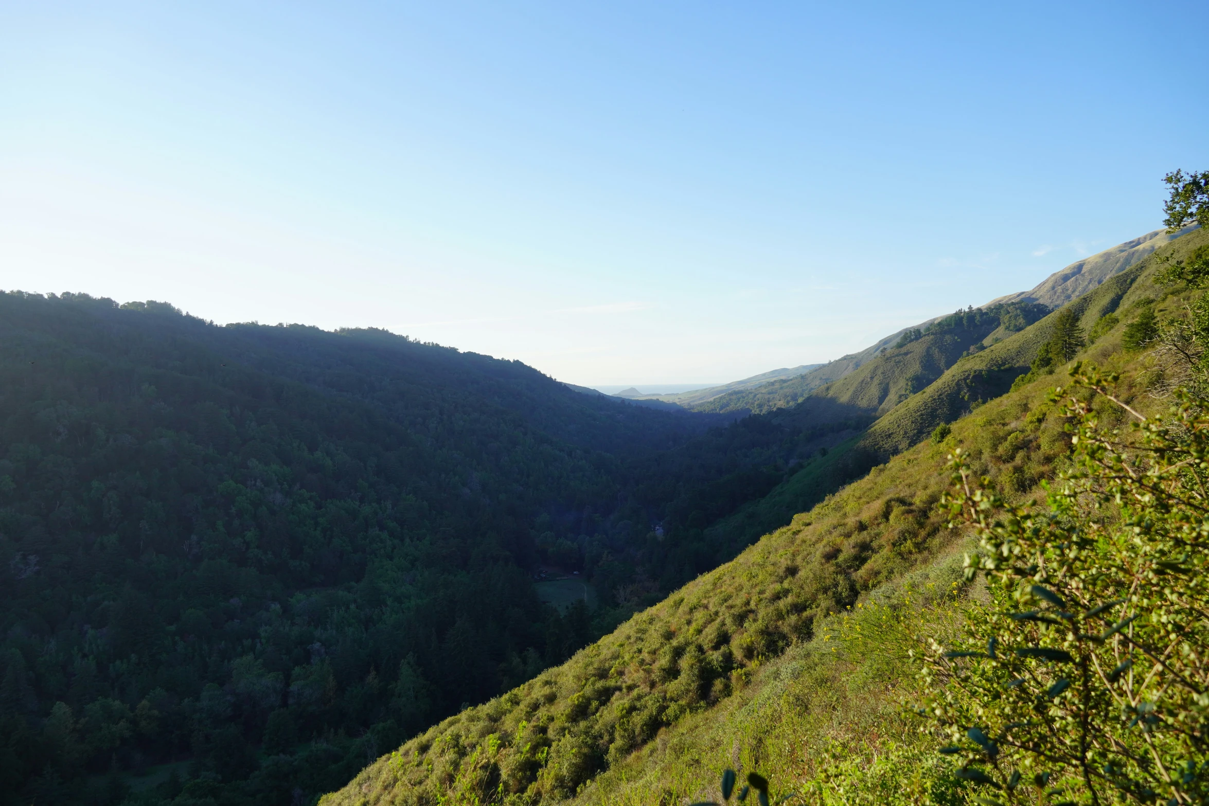 a grassy, mountainous hill is covered in trees