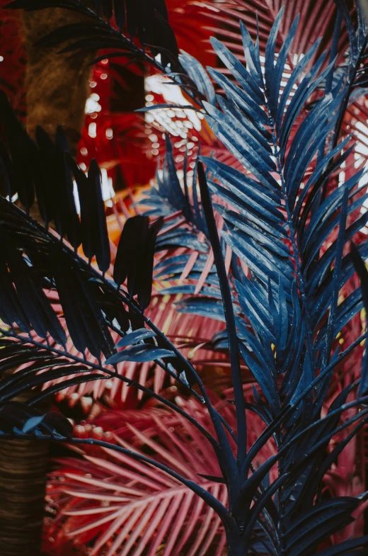 the underside leaves and nches of a plant