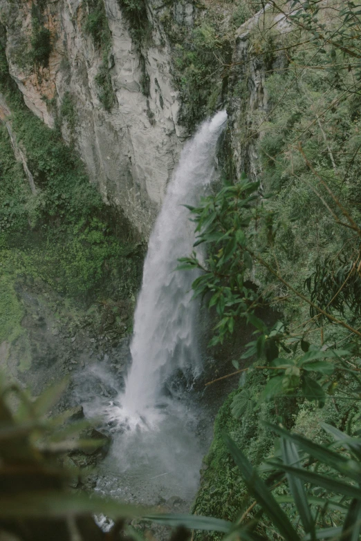 a waterfall is in the middle of the woods