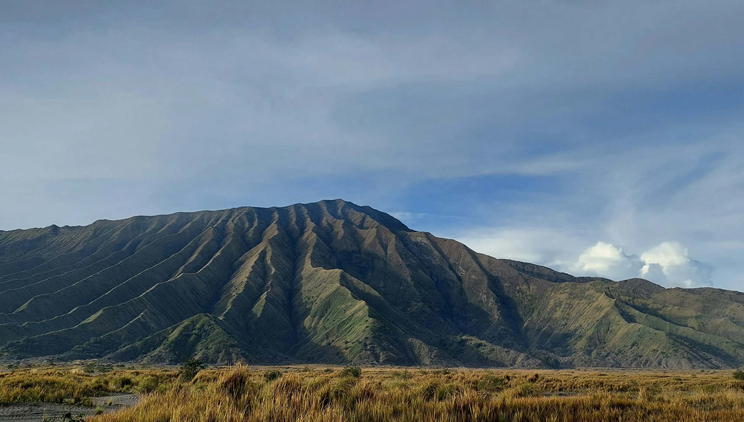 a very tall mountain that has a forest behind it