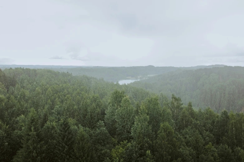 a hill with several trees in it and clouds above