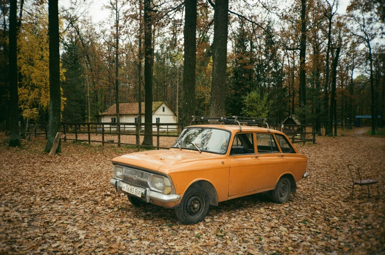 an orange vintage car in the woods near some trees