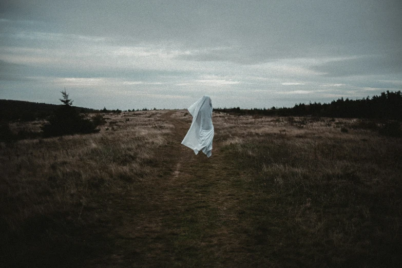 the woman in the long cloth is walking through the field