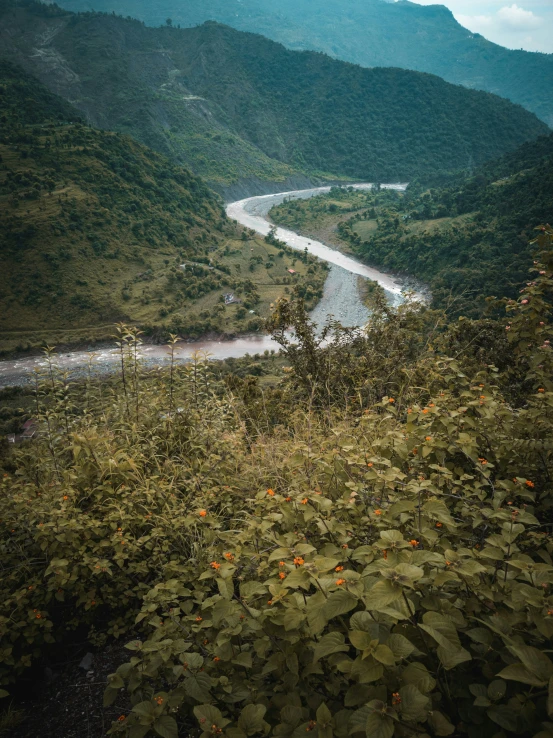 a beautiful view of a river and mountains