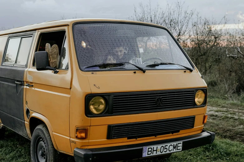 the small van has two cats in the backseat