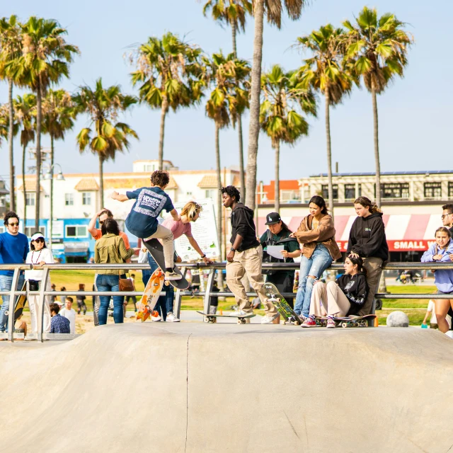 skateboarders practice on ramps and palms in a park