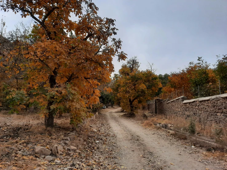 the road is empty and covered in many small patches of dirt