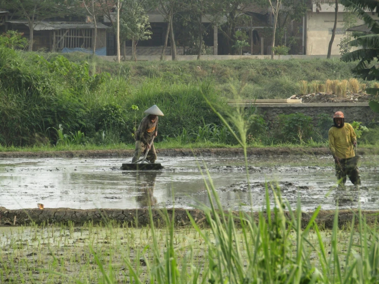 two men are walking through water near grass and trees