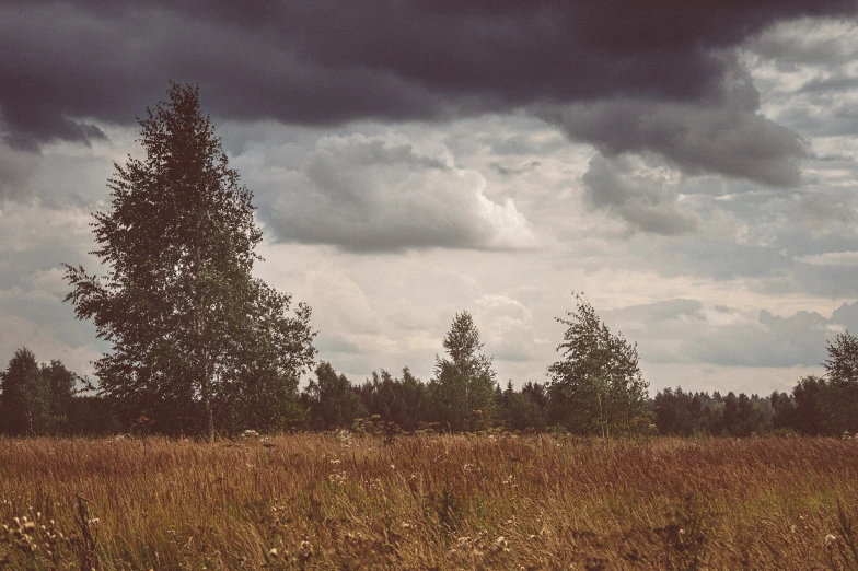 a po of storm clouds rolling over trees