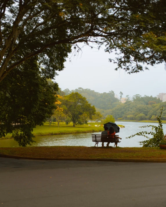 a lone park bench under a canopy of trees