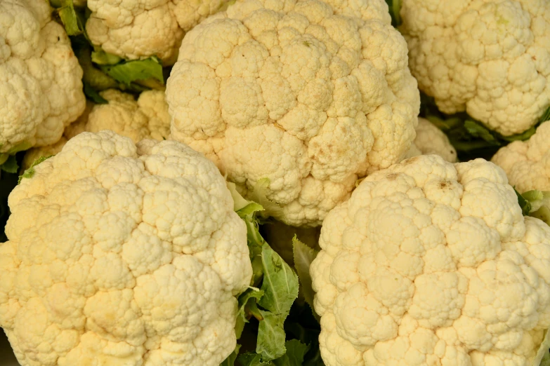 cauliflower is growing outside at the plant