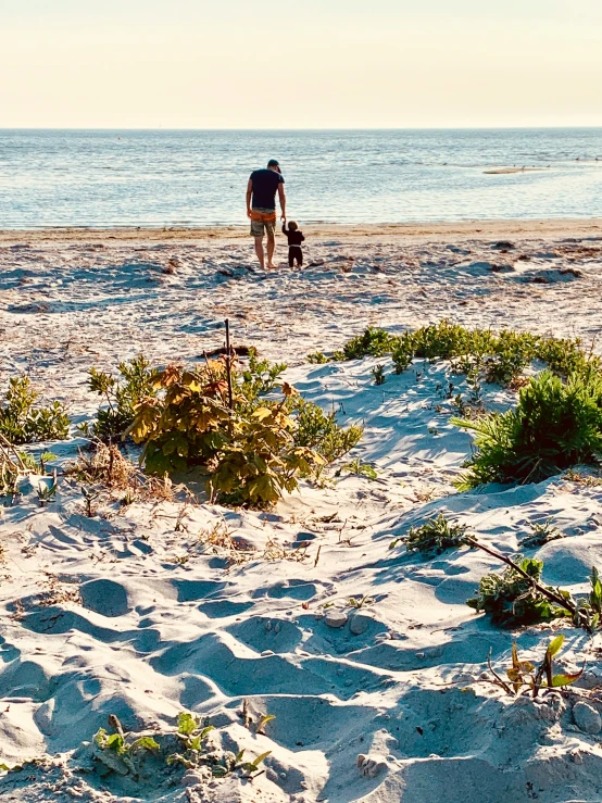 a person walks his dog along the beach with a surf board