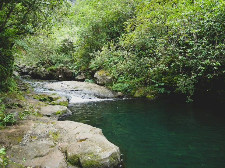 a man wading on rocks in a stream