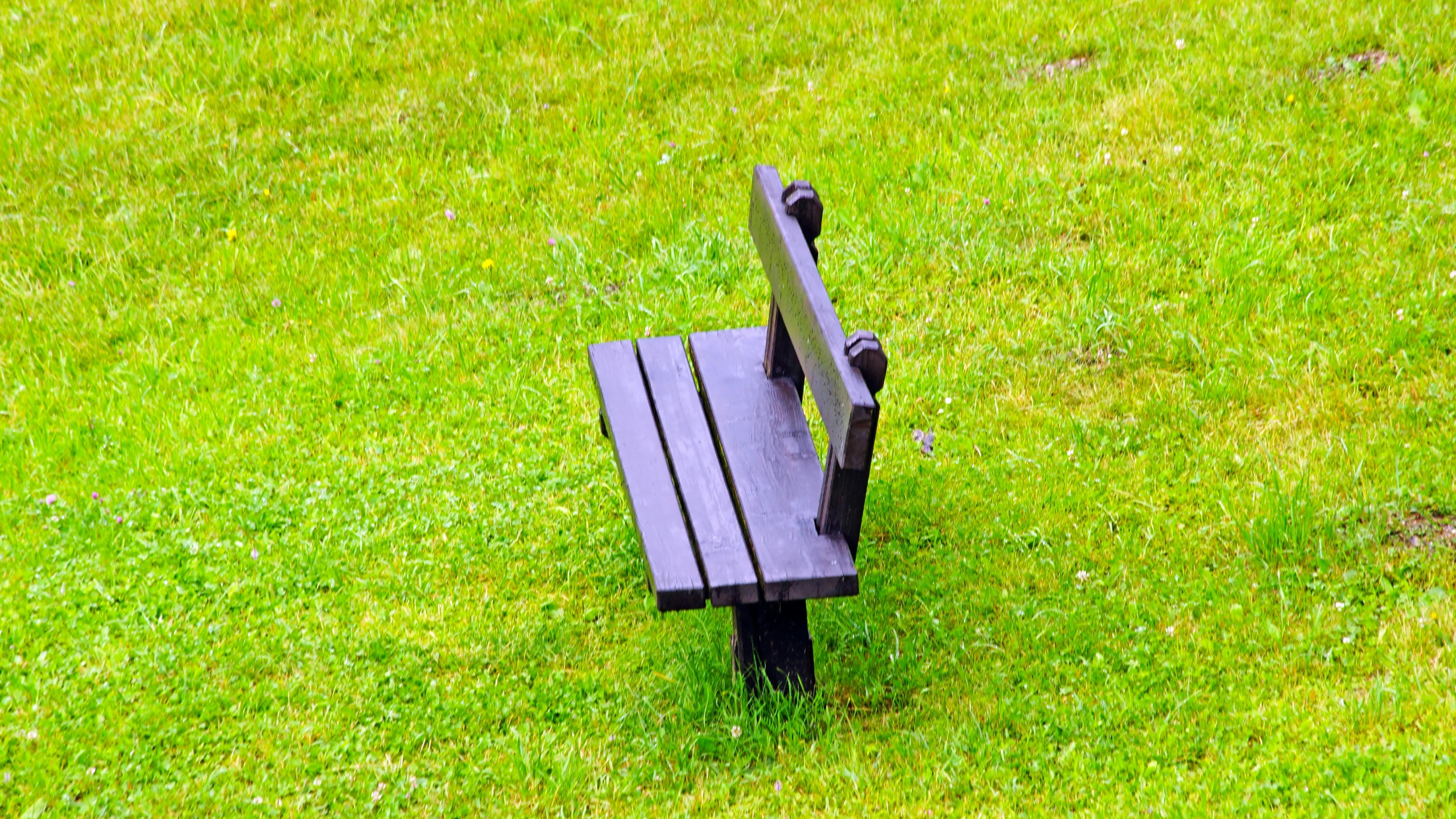 a wooden bench is sitting in the grass