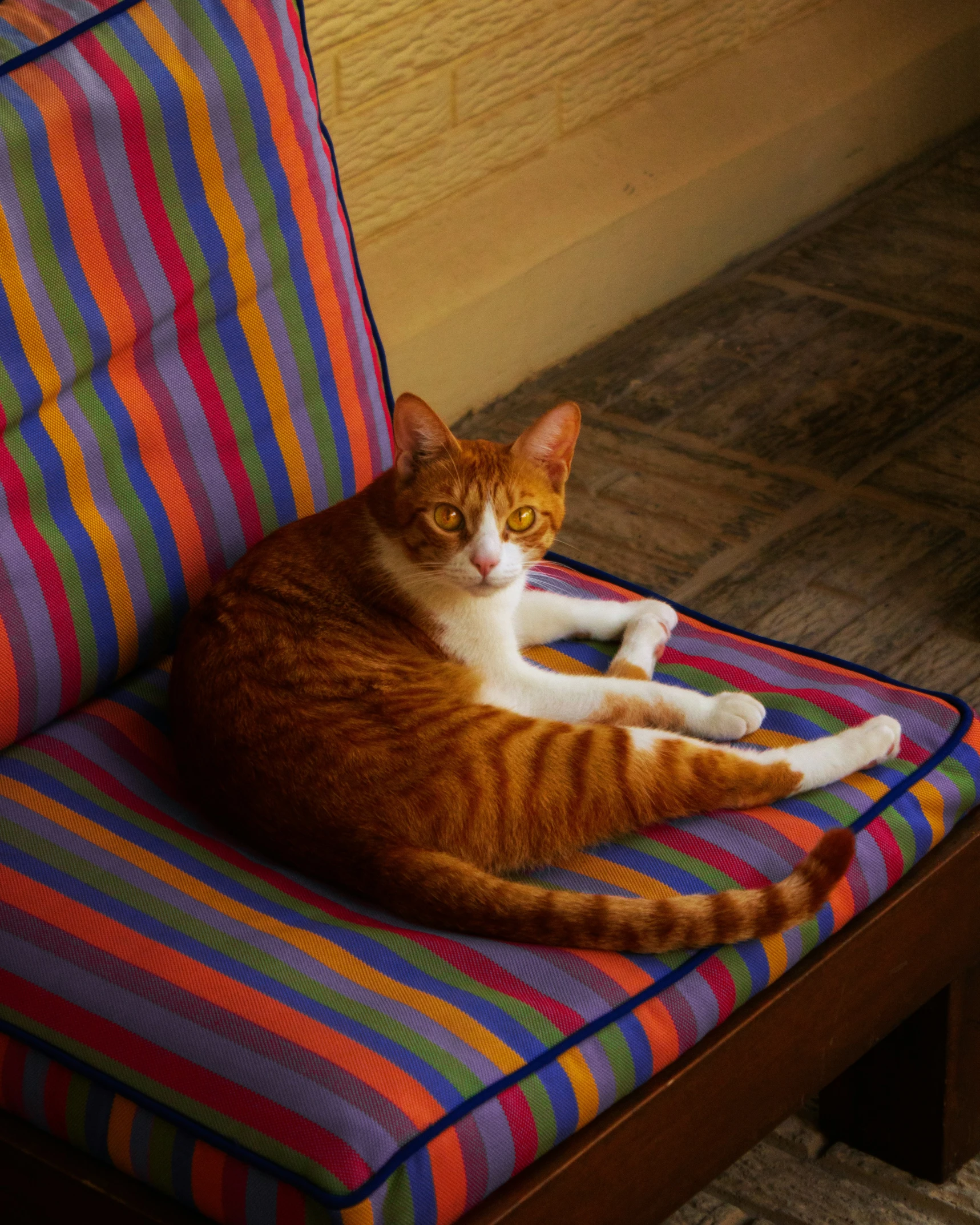 a cat on a chair with his head on the pillow