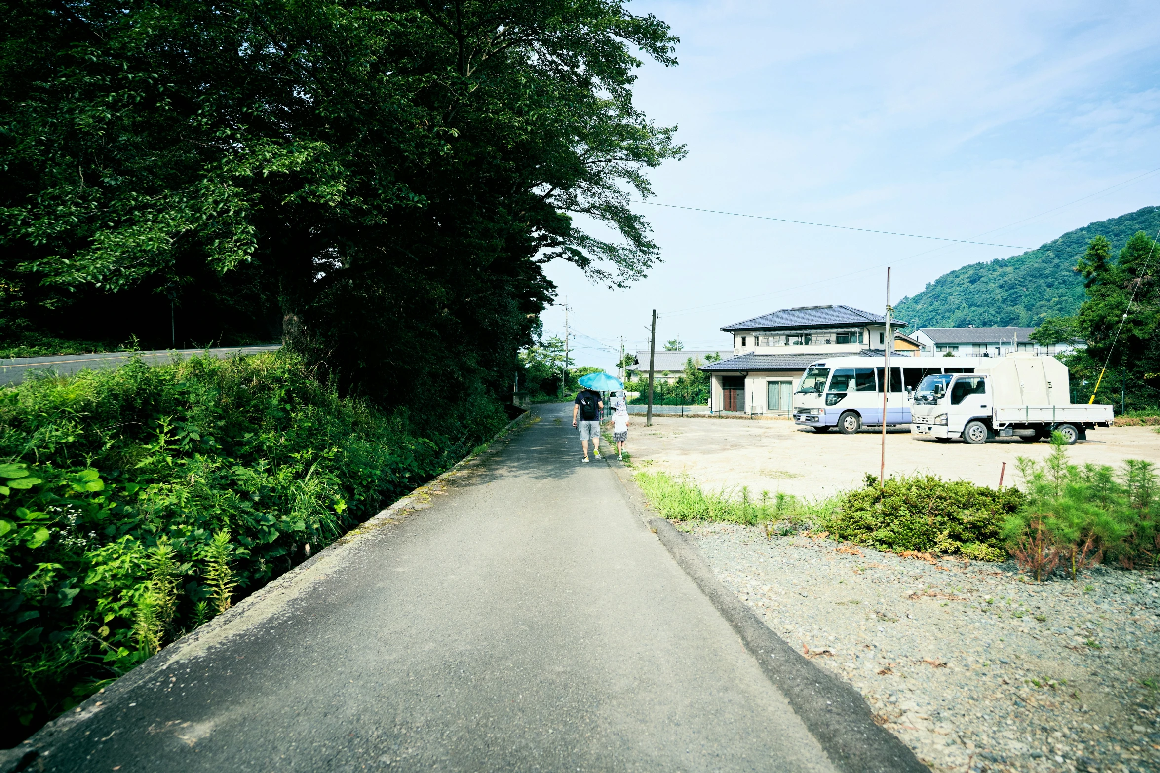 a view of a small road through some trees