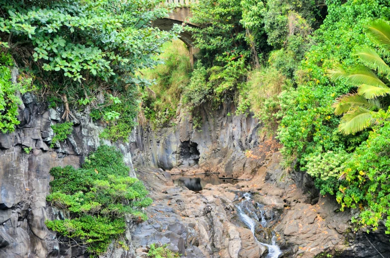 the lush green jungle surrounds the waterfall near the bridge