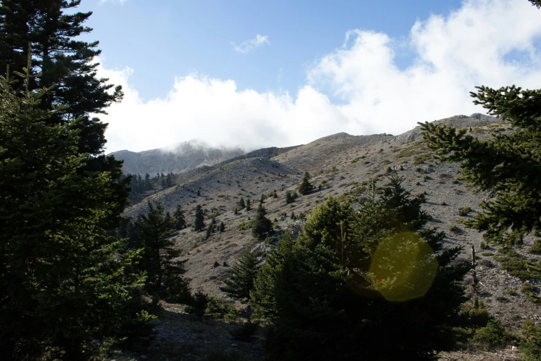 the view of a mountain with pine trees below