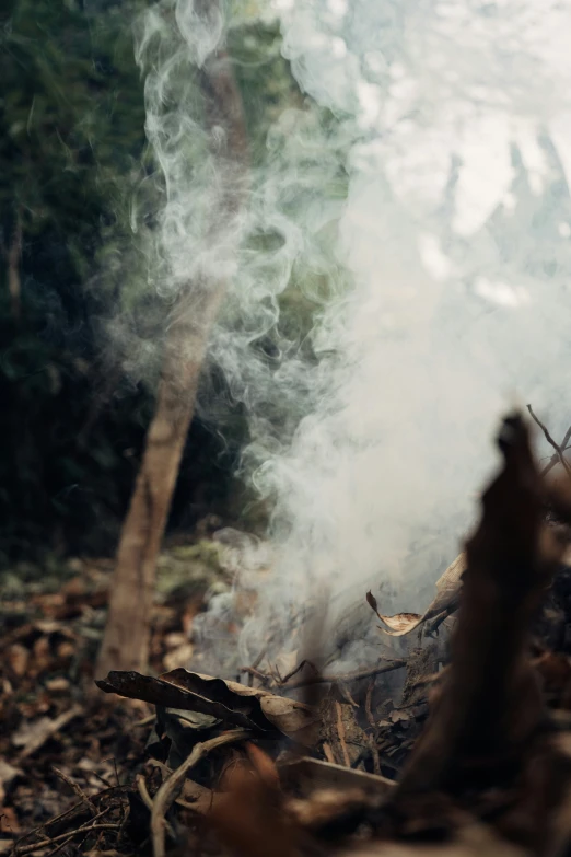 closeup of smoke from an outdoor fire pit