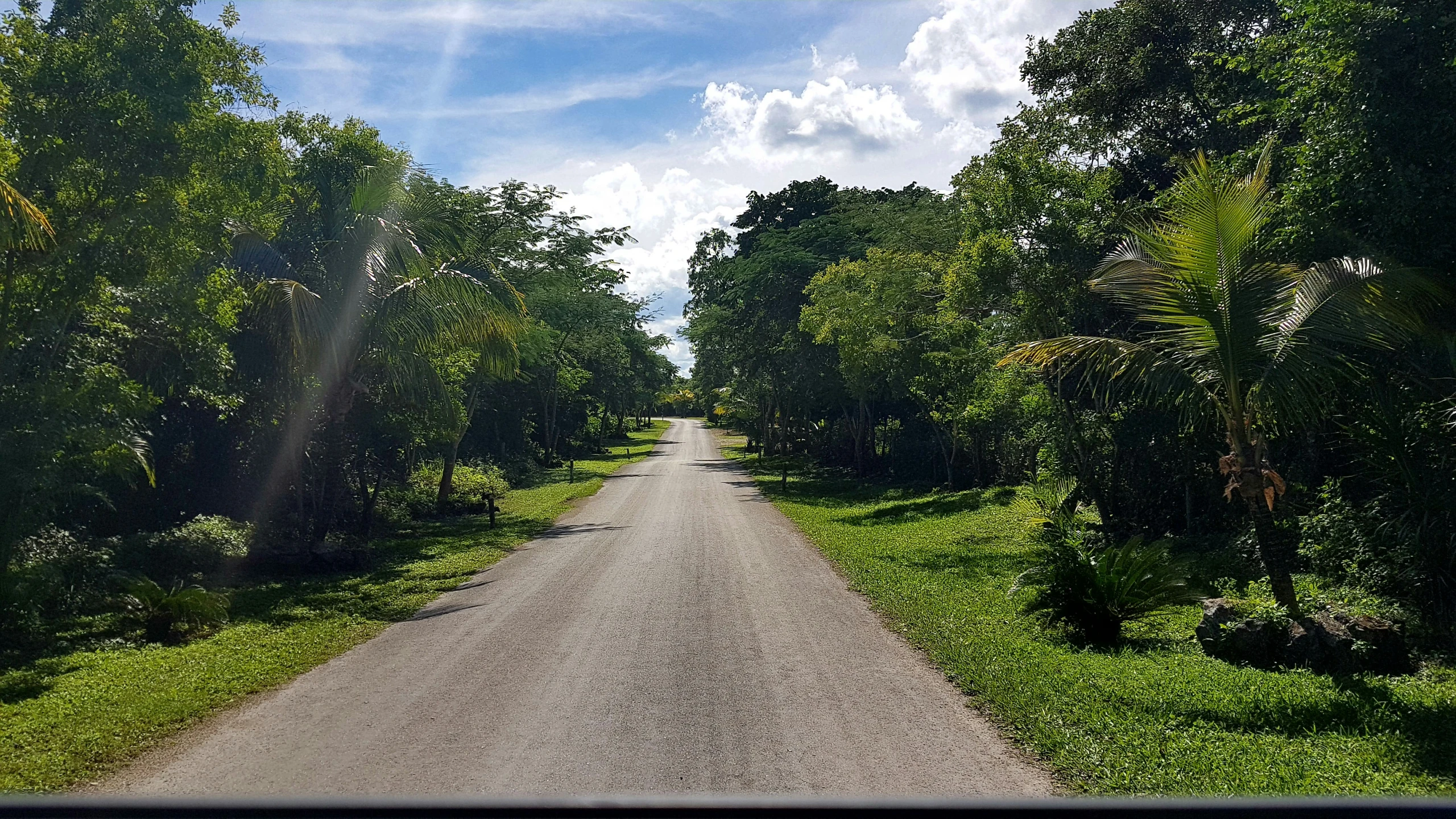 a very long road that is near many trees