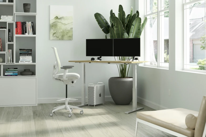 white desk in a bright living room with large potted cactus