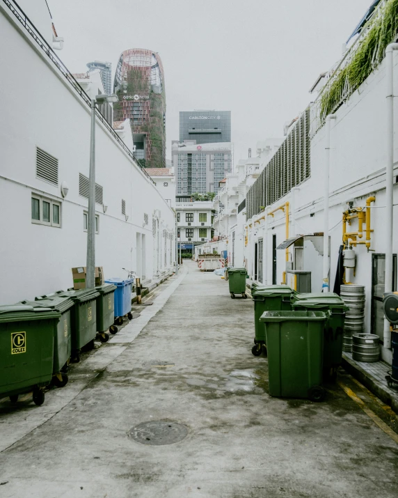 an alleyway with garbage cans and trash containers lined up along the side