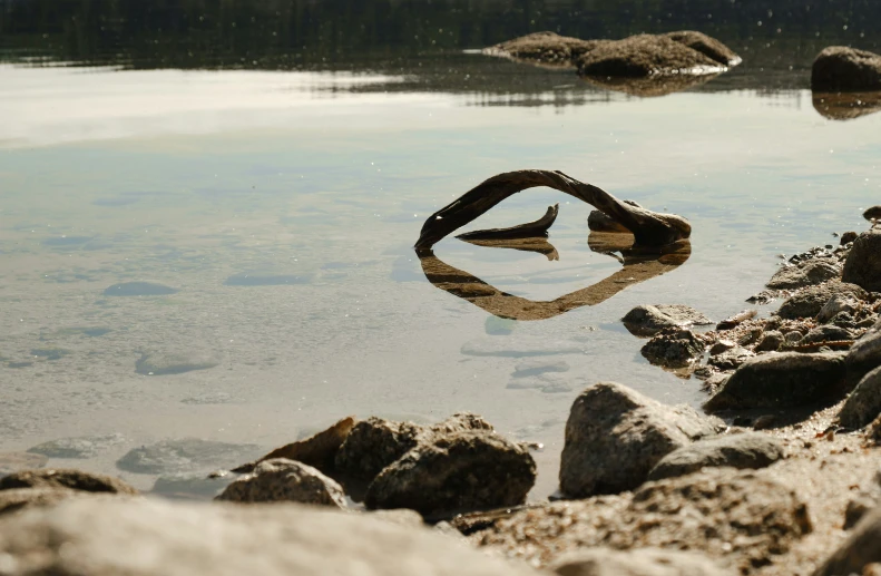 a rock formation in the water and rocks at a beach