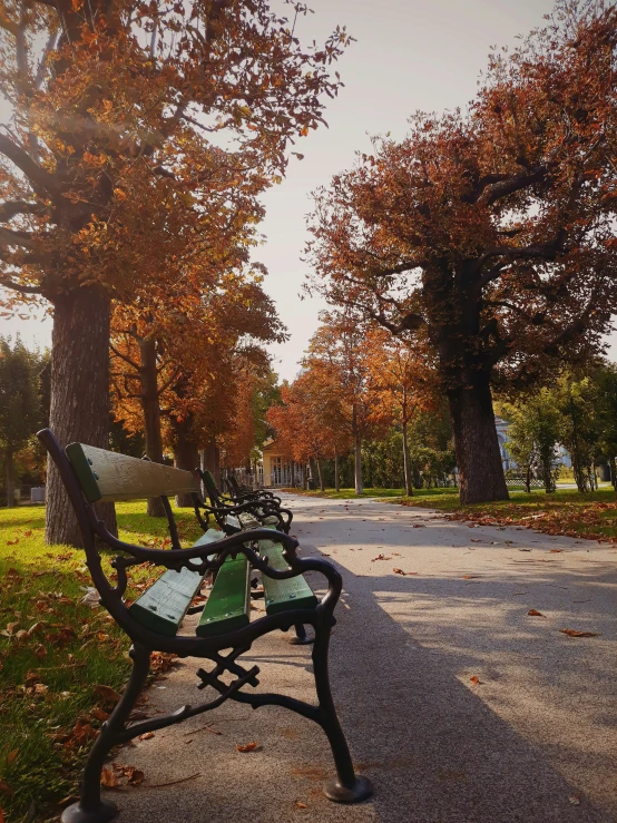 two park benches sitting in the middle of an area