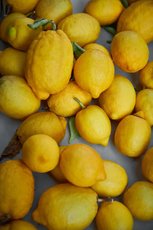 group of lemons on a gray surface with leaves