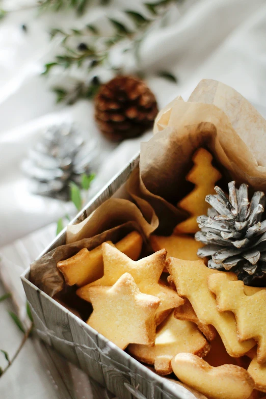 a box of cookies with pine cones and a pine cone on the side