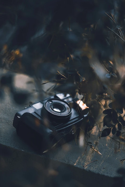 an old fashioned camera laying on its side with the background blurred