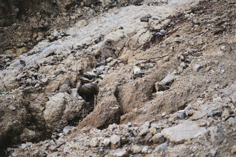 close up view of various rocks on top of a hill