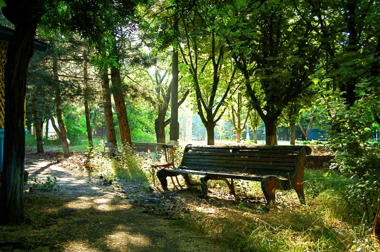 a park bench sits in the shade of some trees