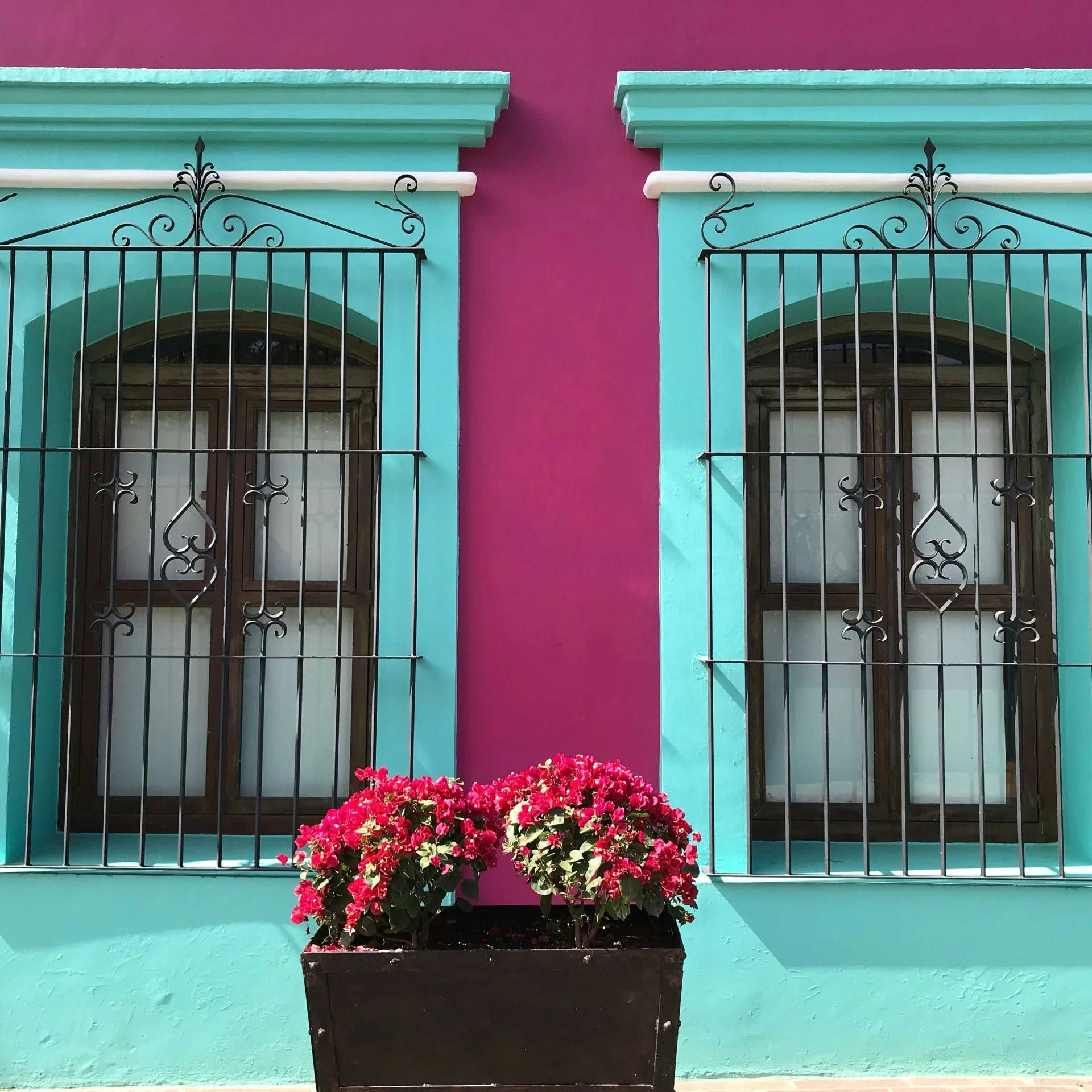 two windows with closed bars on the outside and colorful facade