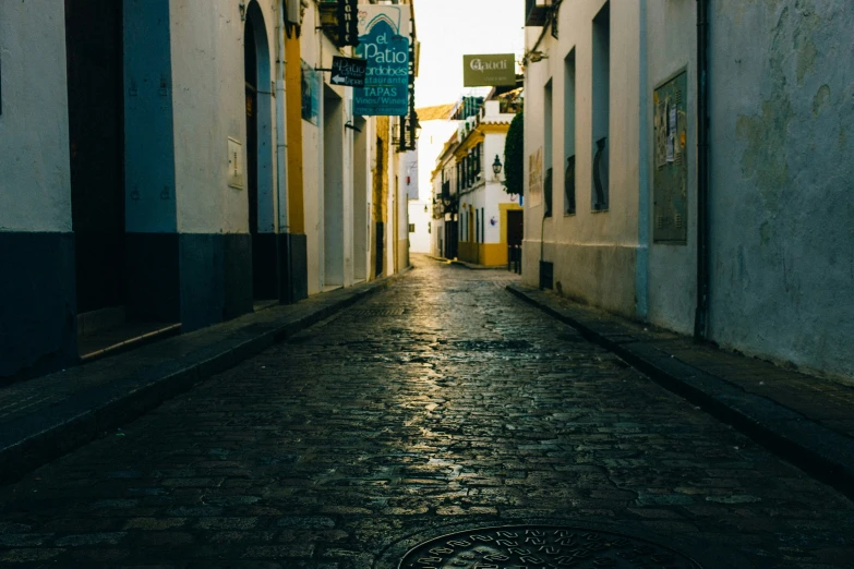 alleyway with narrow brick pavement and buildings on either side