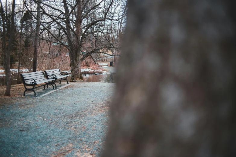 two park benches sitting next to each other near a body of water