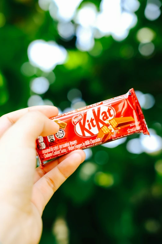 a person holding a chocolate bar in their hand