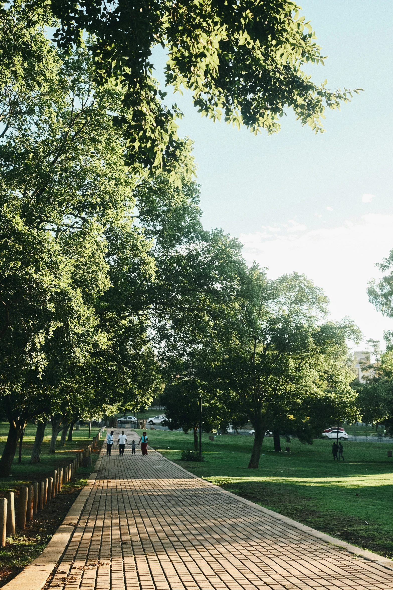 a view of a brick paved road in the middle of trees