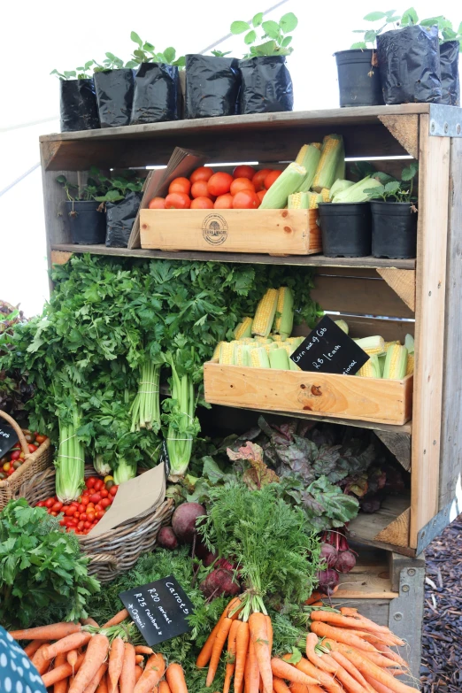 a display filled with lots of different types of vegetables