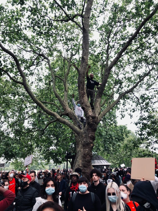 a group of people standing around in front of a tree